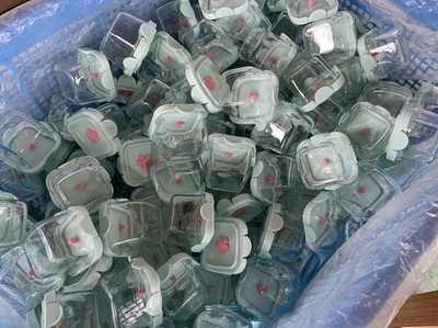 寧波佰仕匯 探索日用百貨銷售新路徑，打造便捷生活新體驗